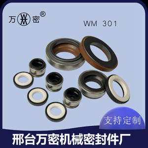 Bombas de Agua Autocebantes de Fluororubber y Carburo de Silicio, Personalizables, Sellos Mecánicos de 301-8~55 mm en Existencia, Optimizadas para Eficiencia - Product Image 2