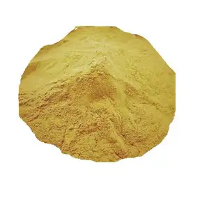 Echinacea Purpurea Extract Powder /Echinacea purpurea50:1