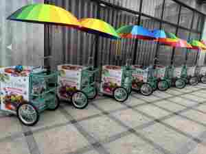 Chariot <span class=keywords><strong>de</strong></span> nourriture mobile poussé à la main pour la crème glacée et les sucettes glacées Chariot <span class=keywords><strong>de</strong></span> poussée réfrigéré <span class=keywords><strong>de</strong></span> style décrochage avec système <span class=keywords><strong>de</strong></span> pompe à <span class=keywords><strong>eau</strong></span> - Product Image 5