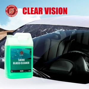 GL59 Detergente Protettivo per Vetri Auto, Lucidante per Vetri e Prodotto per la Cura degli Occhiali, Spray Pratico, OEM ODM - Product Image 2