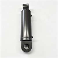 Cylindres hydrauliques à double action de haute qualité fabriqués en usine avec placage au chrome dur, acier, garantie 1 an
