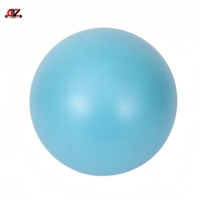 Ballon de yoga léger anti-explosion de haute qualité CZ pour la récupération post-partum, l'entraînement et l'équilibre à domicile
