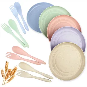 Bambus Plate晚餐厨房餐具Bpa免费环保粉彩纤维餐具盒装小麦草碗大食品
