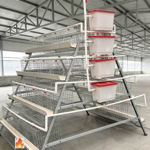 Produit Tendance : Poulailler en Acier Galvanisé pour Poulets – Cages et Abri pour Poulets pour les Pays en Développement - Product Image 1