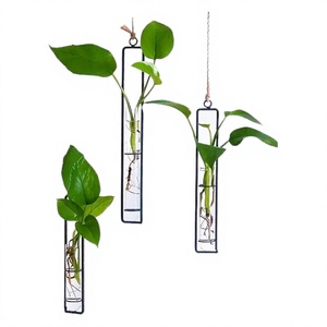 Vase mural décoratif en verre borosilicate hydroponique, style Art déco, luxe, résistant aux chocs, écologique, pour mariage, maison, plante suspendue - Product Image 3
