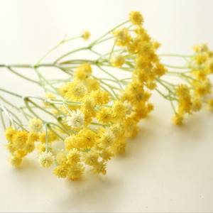 Flor de Gypsophila Artificial de Silicona, <span class=keywords><strong>Planta</strong></span> Artificial de Gypsophila para Decoración de Bodas, <span class=keywords><strong>Hogar</strong></span>, Hotel y Fiestas - Product Image 4