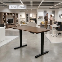 Nouveau bureau d'ordinateur ergonomique en métal laqué moderne, mobilier de bureau, bureau de gaming à double moteur, bureau assis-debout électrique réglable robuste