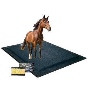Tapis <span class=keywords><strong>de</strong></span> box <span class=keywords><strong>pour</strong></span> chevaux en caoutchouc durable, <span class=keywords><strong>matelas</strong></span> équin, mousse souple, revêtement <span class=keywords><strong>de</strong></span> <span class=keywords><strong>sol</strong></span> imperméable, <span class=keywords><strong>matelas</strong></span> <span class=keywords><strong>pour</strong></span> chevaux - Product Image 1