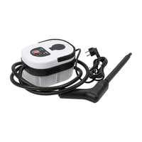 Nettoyeur Vapeur Portable Haute Température pour Maison, Cuisine et Voiture, Vente Directe Usine, Prise EU/US