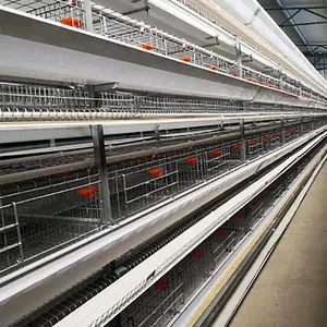 TBB Factory Automatic Poultry Farm Animal Cages Chicken Hens Breeding Laying Cage Equipment