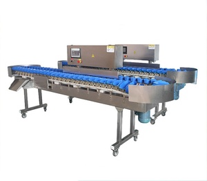 Máquina Clasificadora Eléctrica Automática de Frutas y Verduras de Acero Inoxidable 304 para Mango, Aguacate, Peces Pequeños, con Sistema de Clasificación por Peso - Product Image 4