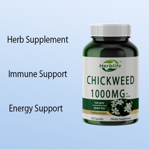 Cápsulas de Hierba de Gallina (OEM/ODM) |   1000 mg |   120 Unidades |   Extracto Sin Gluten y Sin OMG |   Suplemento Herbal, Apoyo Inmunológico - Product Image 3