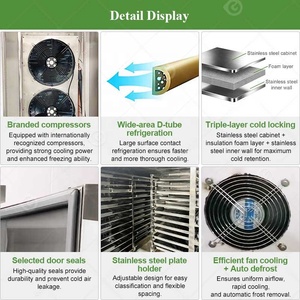 Congelador Industrial Vertical Mini de 6 Toneladas para Pescado Pequeño, Congelador Rápido DC con Bandejas, Equipo para Alimentos en Venta - Product Image 3