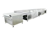 Ligne de production entièrement automatique de pépites de chocolat de 1200 mm, machine à fabriquer des granulés de chocolat avec tunnel de refroidissement
