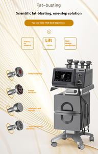 알파 피버 마스터 컴팩트 가정용 미용 장비 온도 조절 지방 감소 기기 조명 전기 책상 탑 CN - Product Image 5