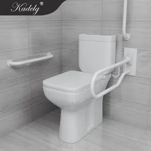 Sanitari cina bagno disabili toilette con maniglia