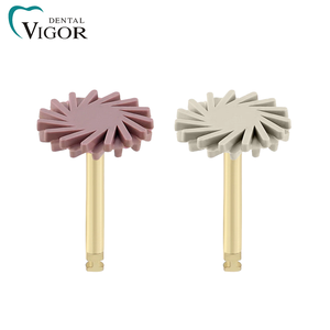 Instrumentos Dentales, Kit de Pulido de Composite Dental, Cepillo de Pulido Dental - Product Image 2