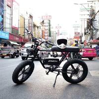 Dynavolt Chine Vélo Électrique Vintage Économique avec Moteur, VTT à Pneus Larges