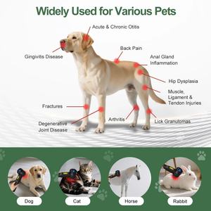 ZJZK mesin terapi Laser dingin penyembuhan 4, mesin pengobatan 4 scimiatica <span class=keywords><strong>Tinnitus</strong></span> untuk menghilangkan rasa sakit leher - Product Image 4