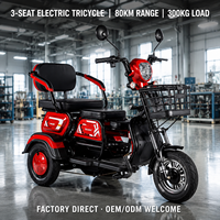 Tricycle électrique 3 places pour adultes, scooter électrique à 3 roues 60V 800W, scooter de mobilité avec éclairage LED et double suspension pour la famille