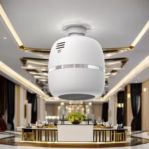 Nouveauté, diffuseur d'<span class=keywords><strong>huile</strong></span> <span class=keywords><strong>essentielle</strong></span> électrique mural, <span class=keywords><strong>ioniseur</strong></span> d'air portable intelligent sans eau pour la maison, hôtel, Rohs - Product Image 6