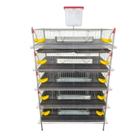 Système de cages en batterie en fer galvanisé robuste pour l'élevage automatisé de cailles