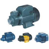 Petite pompe à eau électrique auto-amorçante pour usage domestique QB60 QB80