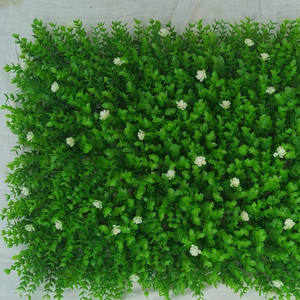 Surtido de plantas artificiales, variedad de colores, pequeña, <span class=keywords><strong>Echeveria</strong></span>, flor de la Reina, suculentas individuales - Product Image 4