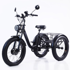 <span class=keywords><strong>Triciclo</strong></span> Eléctrico de Carga y Pasajeros de 3 Ruedas para Adultos, 750W/500W, con Marco de Acero, Llanta de Aleación y Neumático Ancho, Chino, Venta al por Mayor - Product Image 3