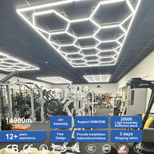 The Standard Linear LED Light for