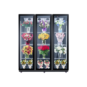 Refrigerador Exhibidor <span class=keywords><strong>para</strong></span> Floristería con Puerta de Vidrio, Tipo Abierto, Enfriador con Ventilador <span class=keywords><strong>para</strong></span> Climas Cálidos - Product Image 4