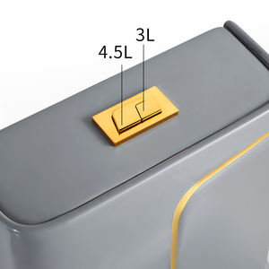 <span class=keywords><strong>WC</strong></span> Monoblocco in Ceramica di <span class=keywords><strong>Alta</strong></span> Qualità, Colore Perlato, Design Moderno e Lussuoso, Bianco e Oro, Confezione in Cartone, Modello a Due Pezzi <span class=keywords><strong>per</strong></span> Hotel - Product Image 4