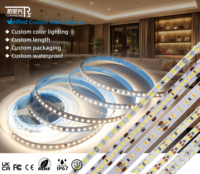 Ruban LED flexible haute luminosité 240 LED/m, étanche IP67, 50 m, blanc chaud bleu 6000K, DC12V/24V, bande LED 2835