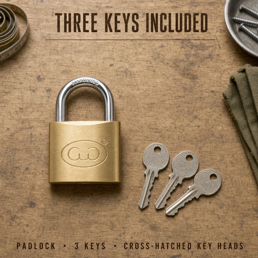 Samhoo Unique Design Cadeado Container Seal Cargo Security Lock Customized Size Candado Iron Padlock With Key · image 3