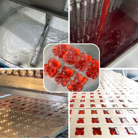 Bonbons commerciaux fruits pectine 3d vitamines gommes ours bonbons faisant la machine sirop bouillant remplissage bonbons formant la ligne de production