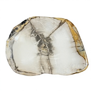 Premium Polished Round Petrified <b>Wood</b> Plate <b>Wood</b> <b>Slice</b> for Table Decor Interior Decoration - Product Image 1