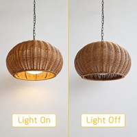 Lampe suspendue en rotin tressé en gros, étanche IP55 pour extérieur, lustre LED en rotin pour villa, cour, porche, pavillon