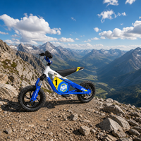 Moto tout-terrain électrique pour enfants, disponible en OEM, 12 pouces, 36V, en alliage d'aluminium, suspension avant, frein hydraulique, 50kg, style course, vente en gros