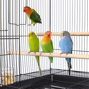 Ispinozlar için üreme uçuş Parakeet kuş kafesi besleyici gies atiels Conures Lovebirds kanaryalar papağanlar için slayt kafes ile - Product Image 5