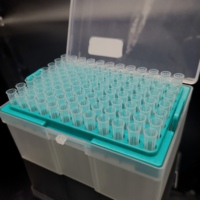 Embouts de pipette universels transparents pour laboratoire, avec filtre, 10 µl, 20 µl, 100 µl, 200 µl, 1000 µl