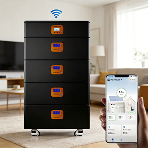 แบตเตอรี่เก็บพลังงานภายในบ้าน 51.2V 100Ah 200Ah แบตเตอรี่ 10kWh แบบติดผนังสำหรับเก็บพลังงานภายในบ้าน - Product Image 4