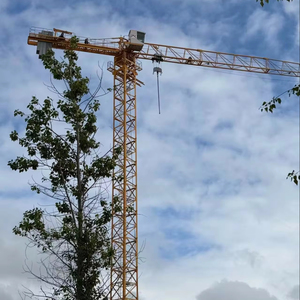 Moteur-réducteur de boîte de vitesses pour <span class=keywords><strong>grue</strong></span> à tour de construction 8T sans cabine, avec limiteur de charge, fabricant de anneaux de rotation et palans de tirage mural - Product Image 1