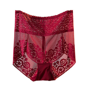 Ropa interior bragas <span class=keywords><strong>de</strong></span> talla grande para <span class=keywords><strong>mujer</strong></span> <span class=keywords><strong>con</strong></span> encaje <span class=keywords><strong>de</strong></span> malla floral bordado <span class=keywords><strong>de</strong></span> tiro alto - Product Image 2