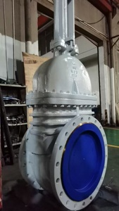 Válvula de Compuerta DOMOS DMS de Gran Tamaño API600, 24 Pulgadas, 150 lb, Cuerpo de Acero al Carbono, Trim No. 8, en Stock - Product Image 1