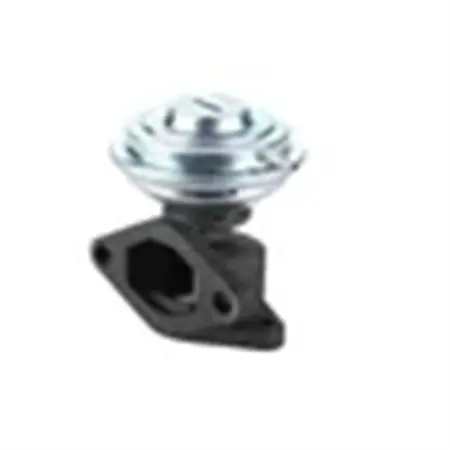 Egr Klep Voor Volvo Oem 7.21675.56.0 91799320 074131503