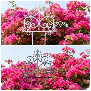 Treillis pour plantes en pot, treillis de jardin pour plantes grimpantes, piquets de support pour plantes antirouille, panneaux de clôture de jardin, clôtures - Product Image 1