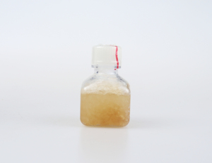 Filtre à cartouche stérilisant Dmem avec sérum bovin fœtal, sérum bovin nouveau-né, culture cellulaire, 0,22 µm, pour la production de vaccins - Product Image 6