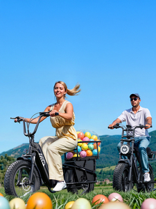 Famille 48v 750w frein à disque vélo électrique  enfants avant près de la boîte famille longue queue électrique <span class=keywords><strong>Cargo</strong></span> Ebike - Product Image 3