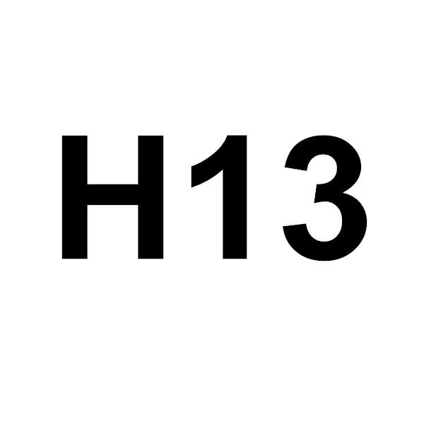 H13