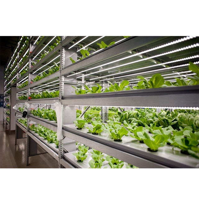 Commercial Smart Hydroponic System for Home Vertical Grow System with Mobile App Small Size